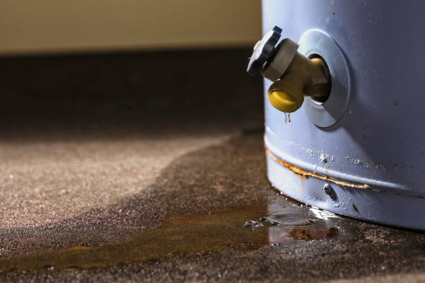 Best Fire Damage Restoration  in Logansport, LA