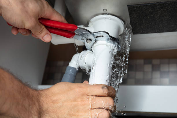Best Flooded house restoration  in Logansport, LA