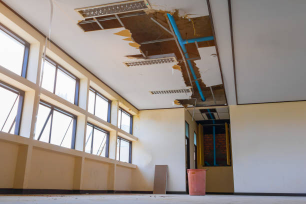 Best Water damage restoration near me  in Logansport, LA