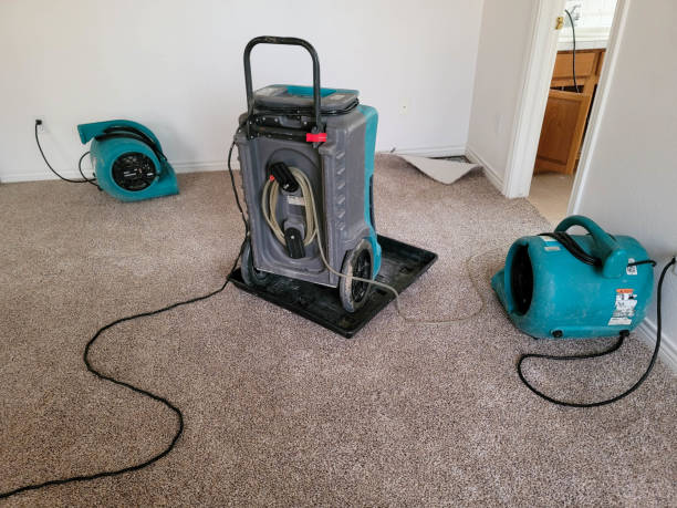 Best Basement water damage restoration  in Logansport, LA