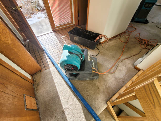 Best Professional water damage repair  in Logansport, LA