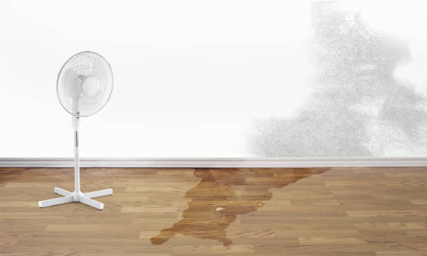 Best Flood restoration services  in Logansport, LA