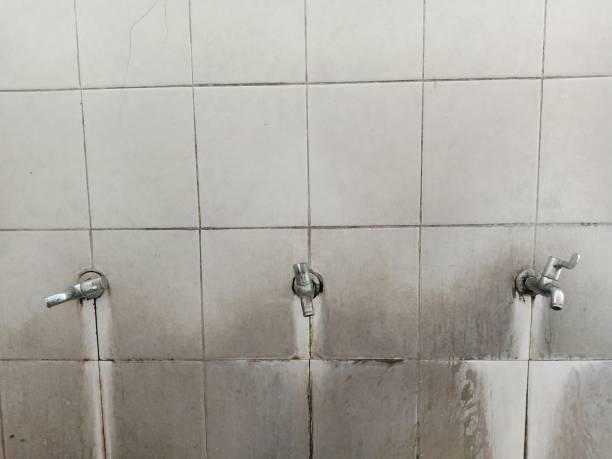 Carpet water damage restoration in LA