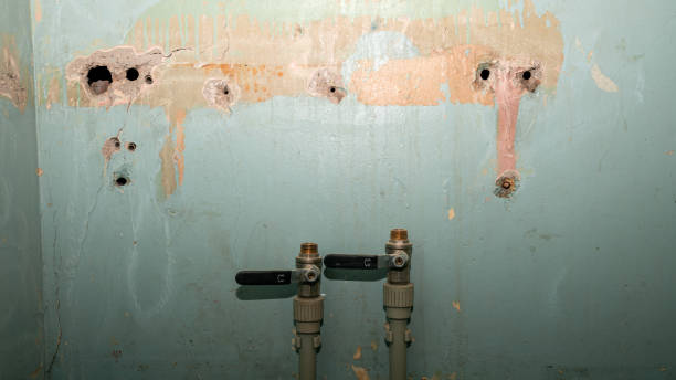Best Residential water damage restoration  in Logansport, LA
