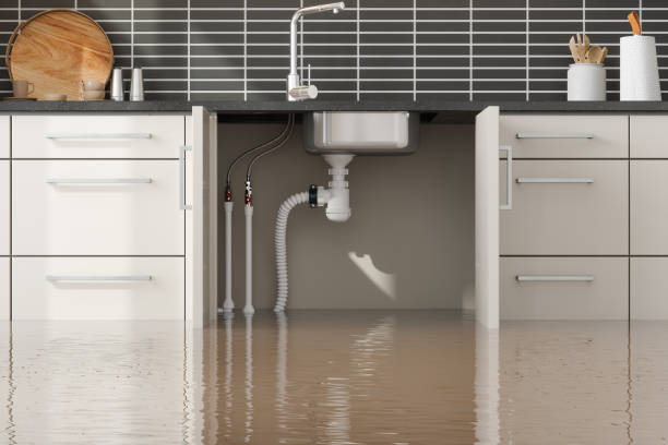 Best Water damage restoration near me  in Logansport, LA