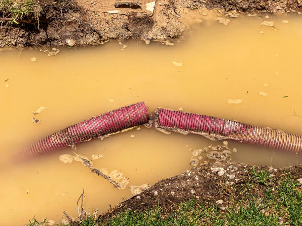 Best Flood damage cleanup  in Logansport, LA