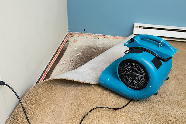 Water damage restoration mold remediation in LA
